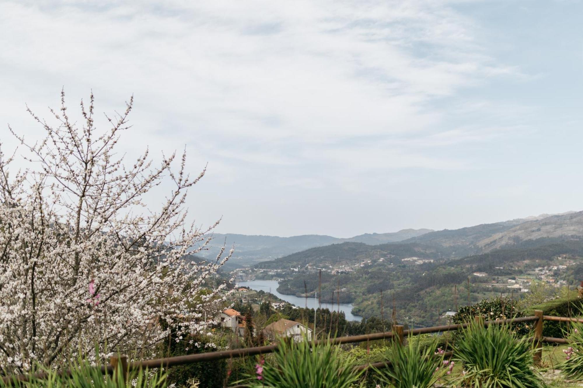 Quinta Do Bento Hotel Vieira do Minho Eksteriør billede