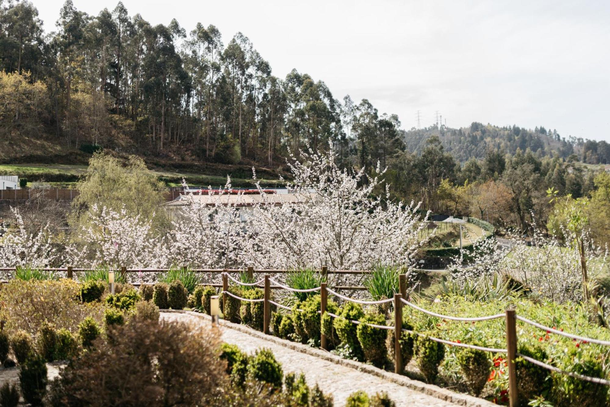 Quinta Do Bento Hotel Vieira do Minho Eksteriør billede